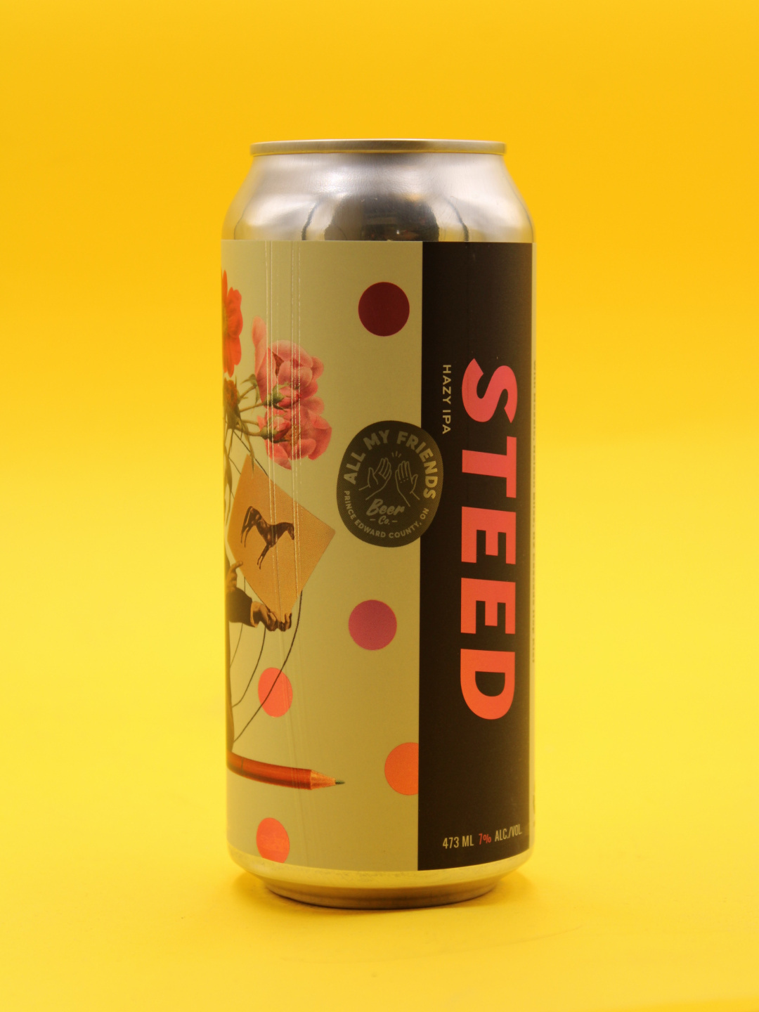 allmyfriends-steed-craftbeer