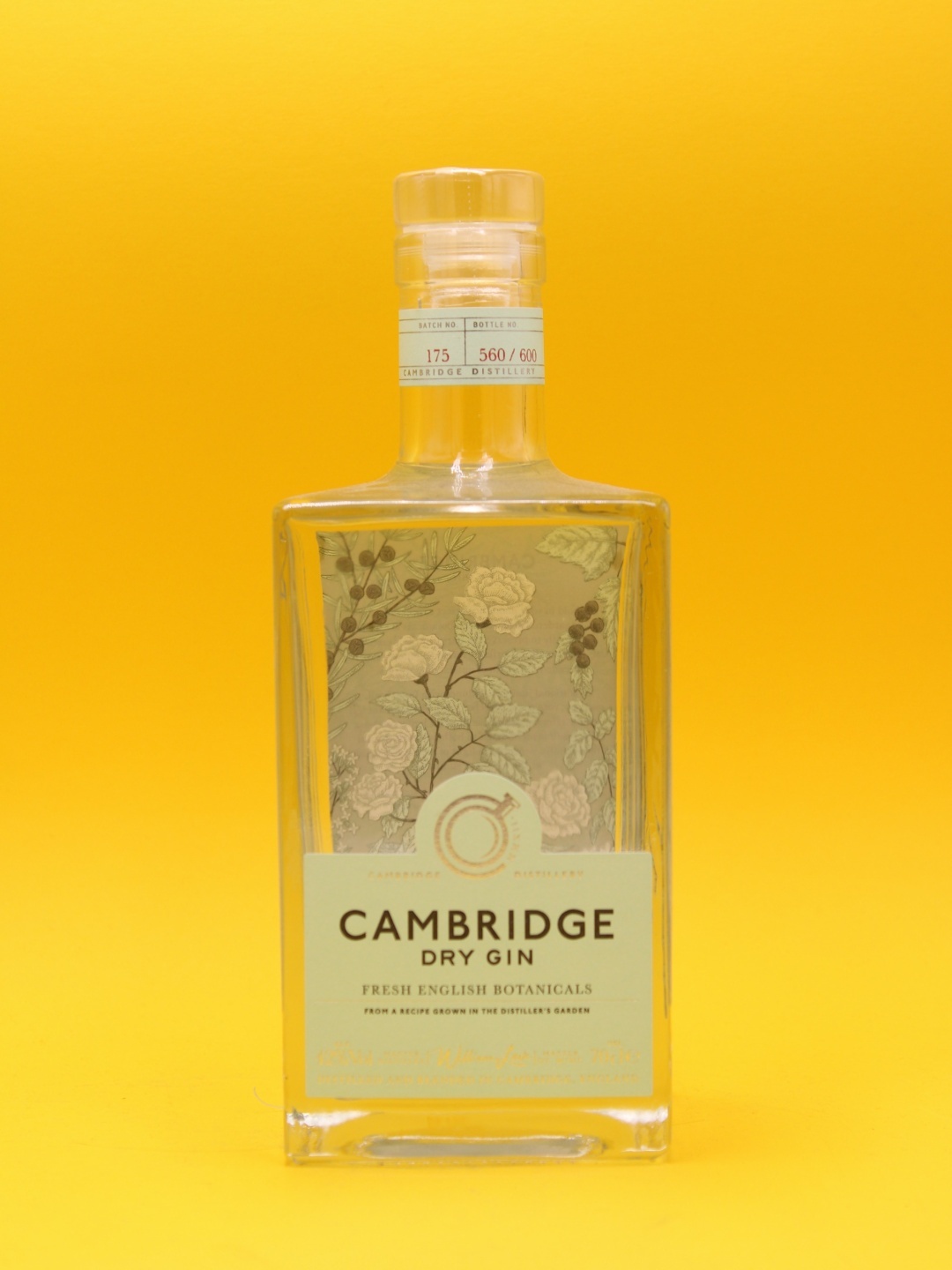 cambridge-drygin