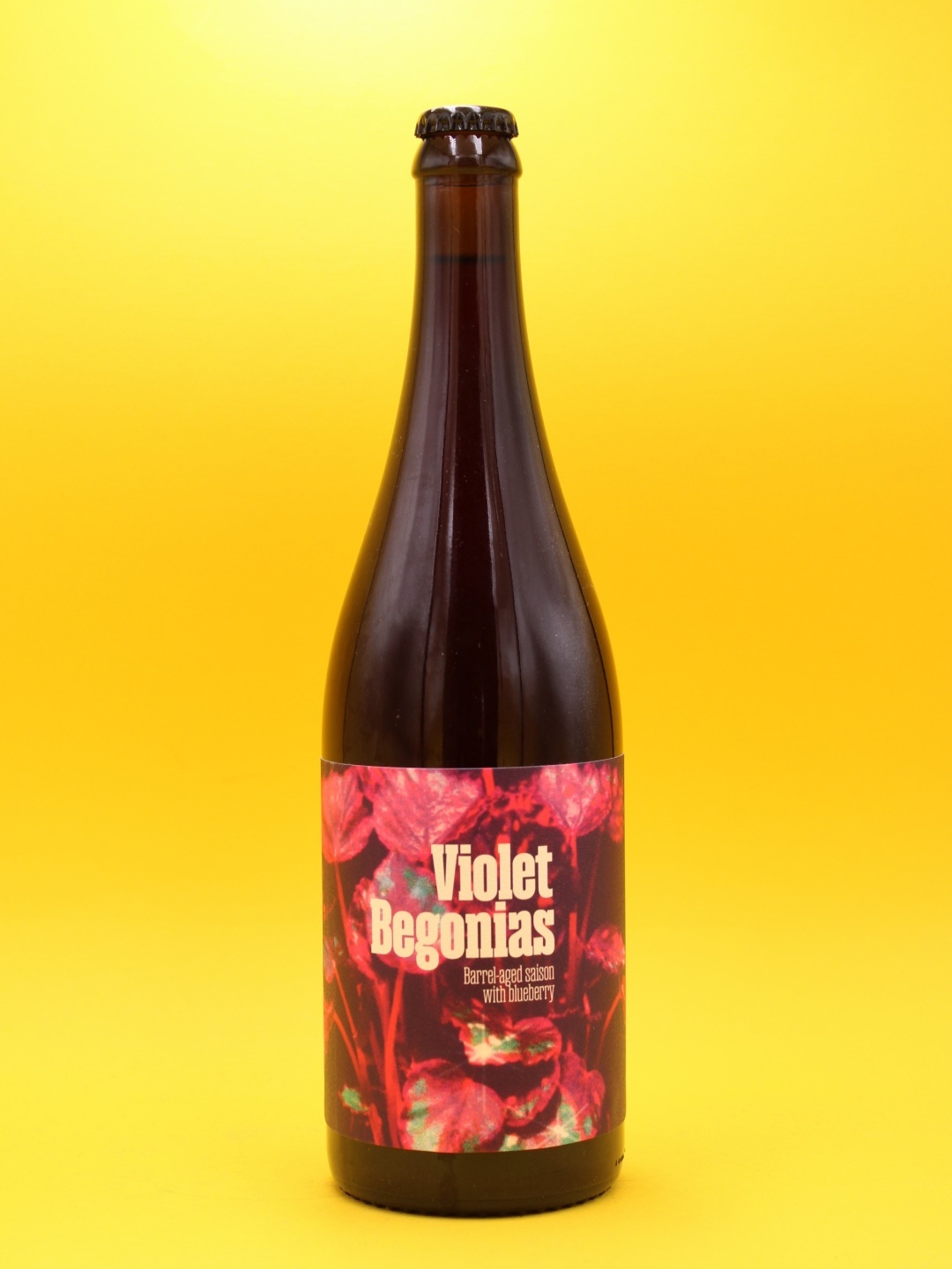 santeadairius-violetbegonias