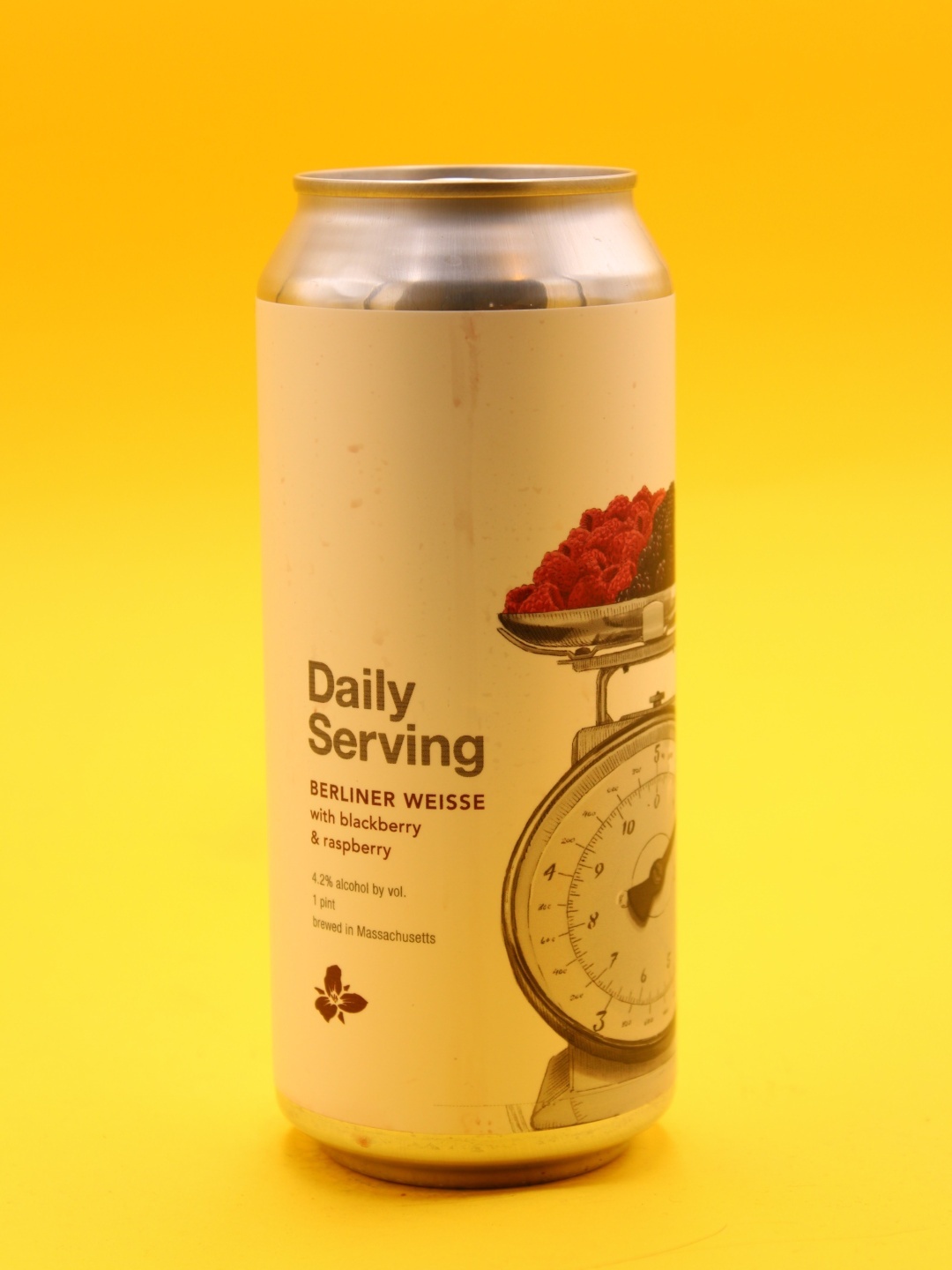 trillium-dailyservingblackberryraspberry-craftbeer