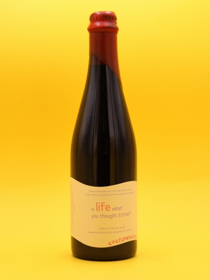 everywhere-islifewhatyouthoughtitdbe-craftbeer