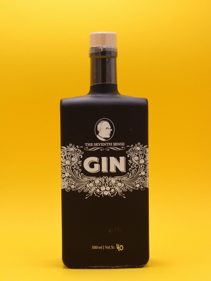 theseventhsense-theseventhsensegin